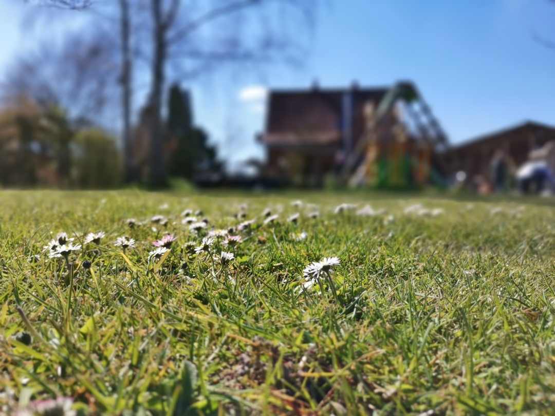 Honornbsp9xnbspPronbsp-nbspKamerafunktionnbspBlende