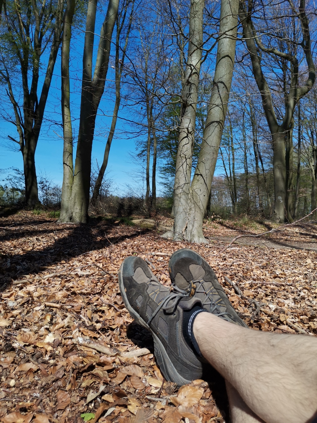 Honor-9x-Pro---Waldspaziergang