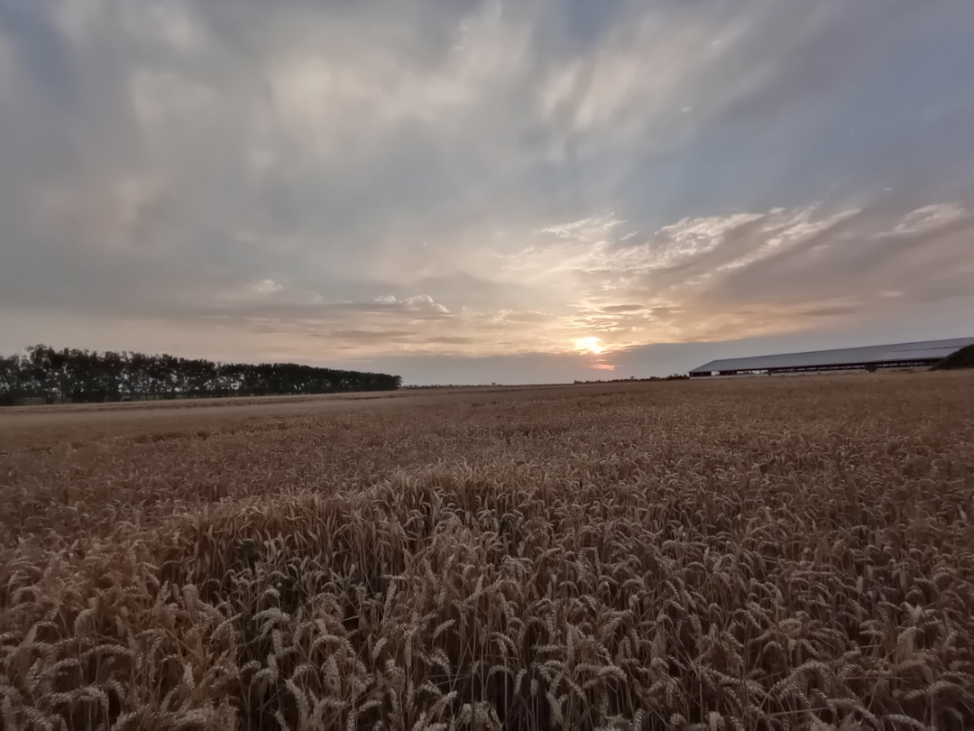 Honornbsp9AnbspSonnenuntergängenbspgenießennbspgehtnbspdasnbsp