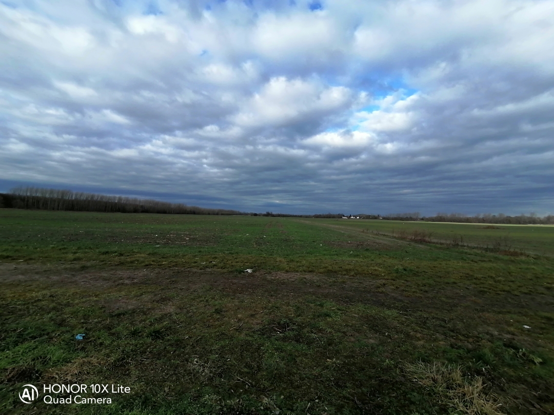 pimg-srchttpsiforum-dechihonorcomdedataimages2021127bdecf53b-aef2-487a