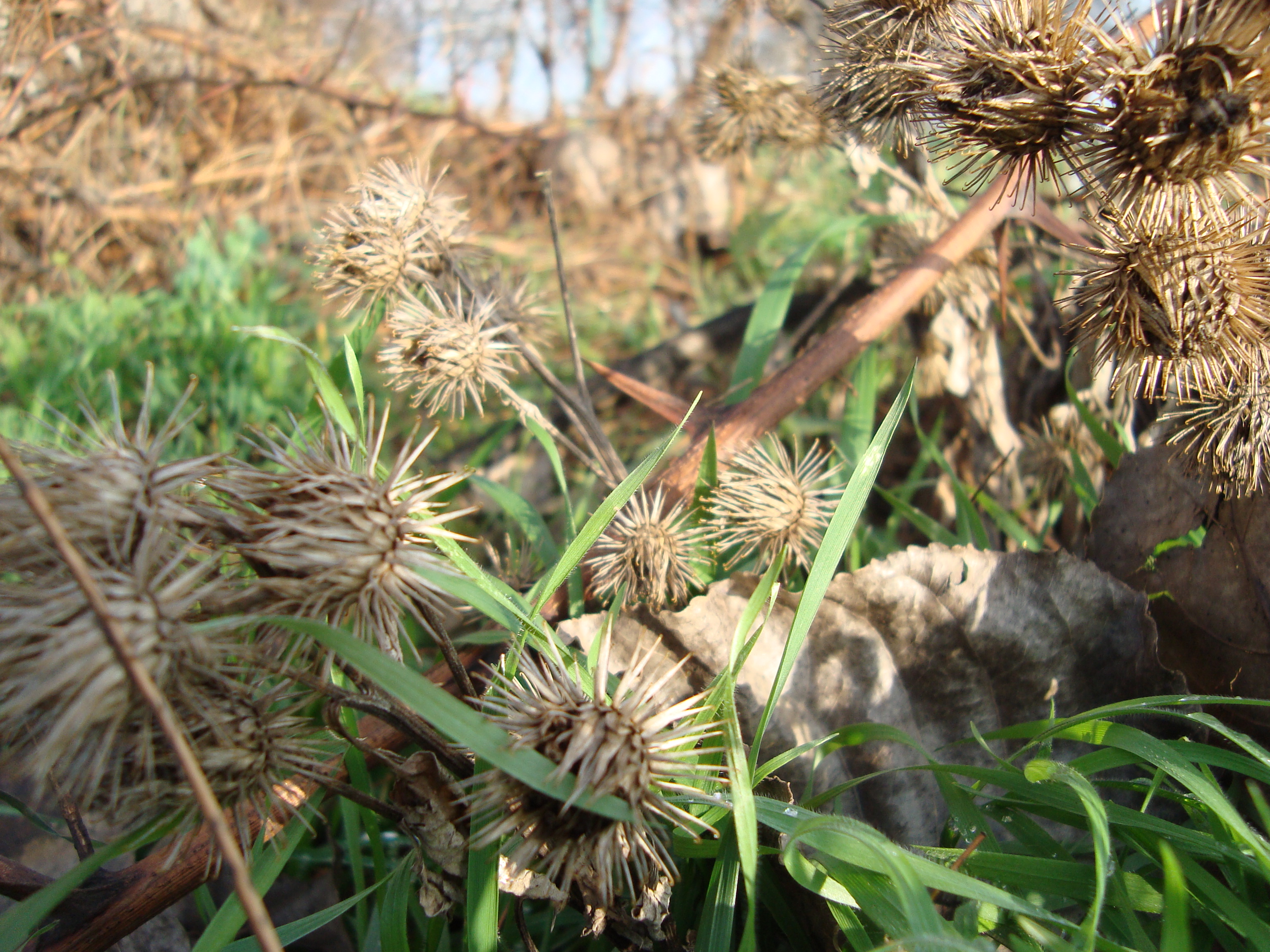 pspan-stylefont-size18pxAnstatt-dass-ich-beschreibe-was-das-für-Fotos
