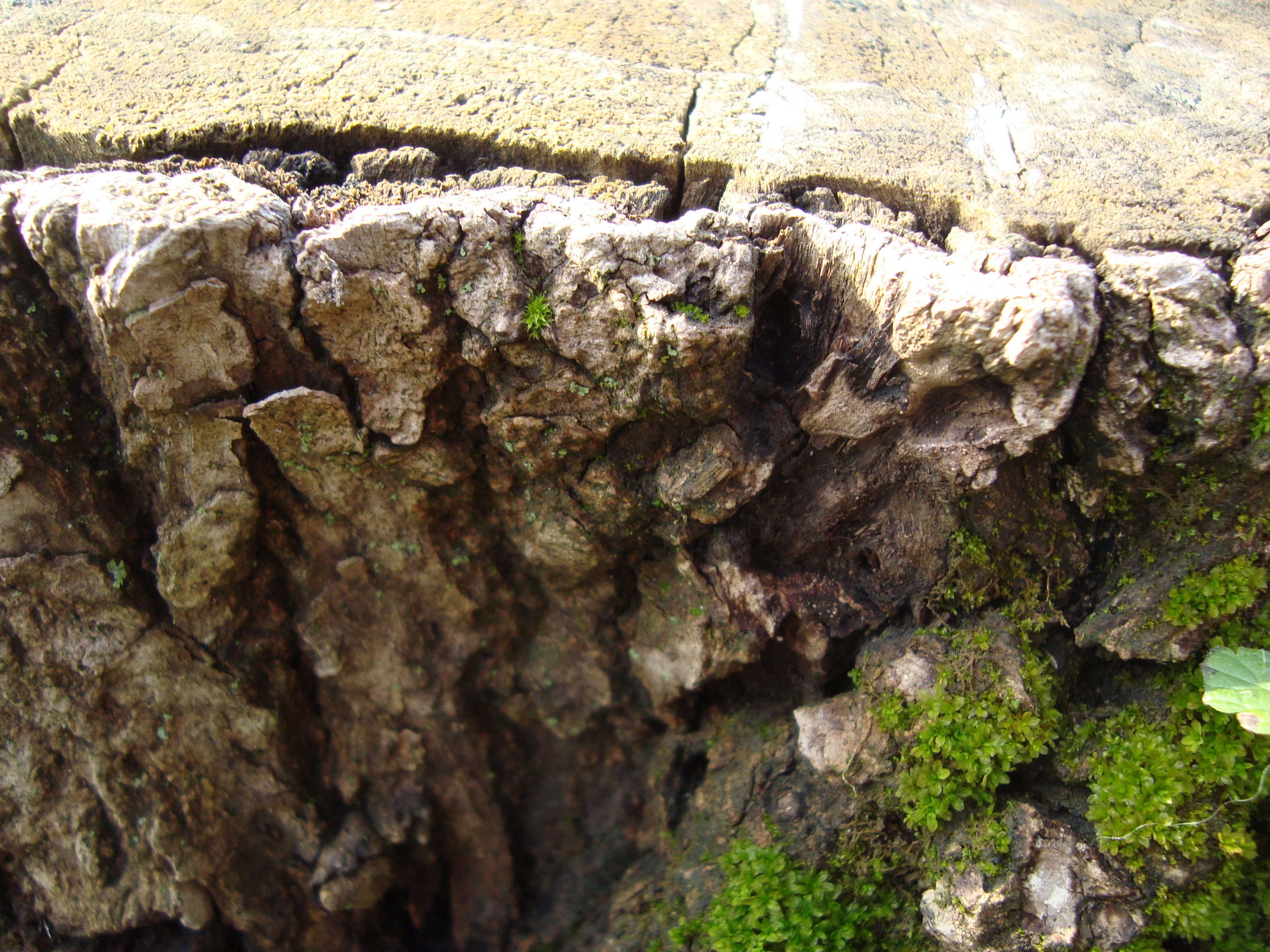 pspan-stylefont-size18pxAnstatt-dass-ich-beschreibe-was-das-für-Fotos