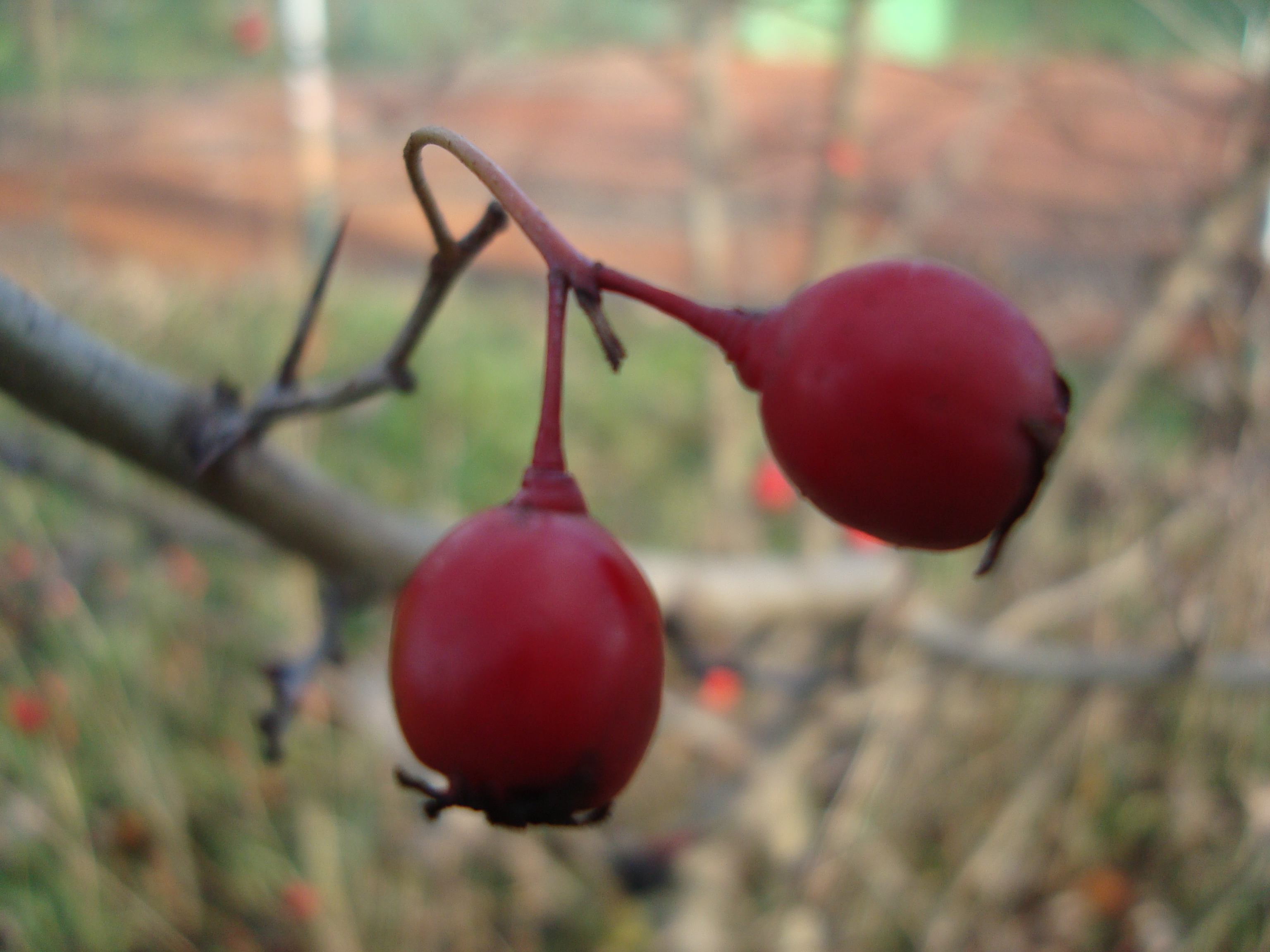 pspan-stylefont-size18pxAnstatt-dass-ich-beschreibe-was-das-für-Fotos