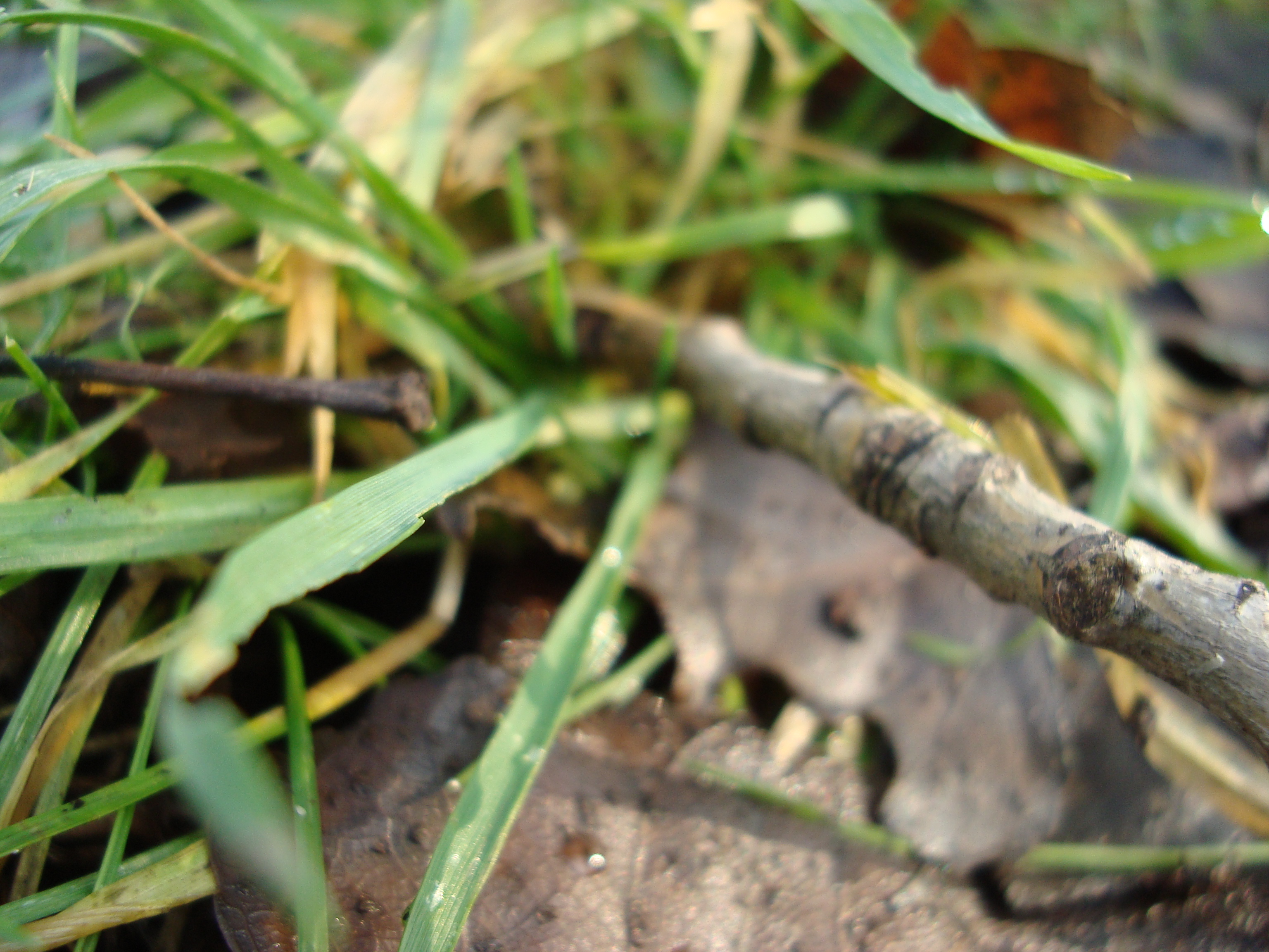 pspan-stylefont-size18pxAnstatt-dass-ich-beschreibe-was-das-für-Fotos