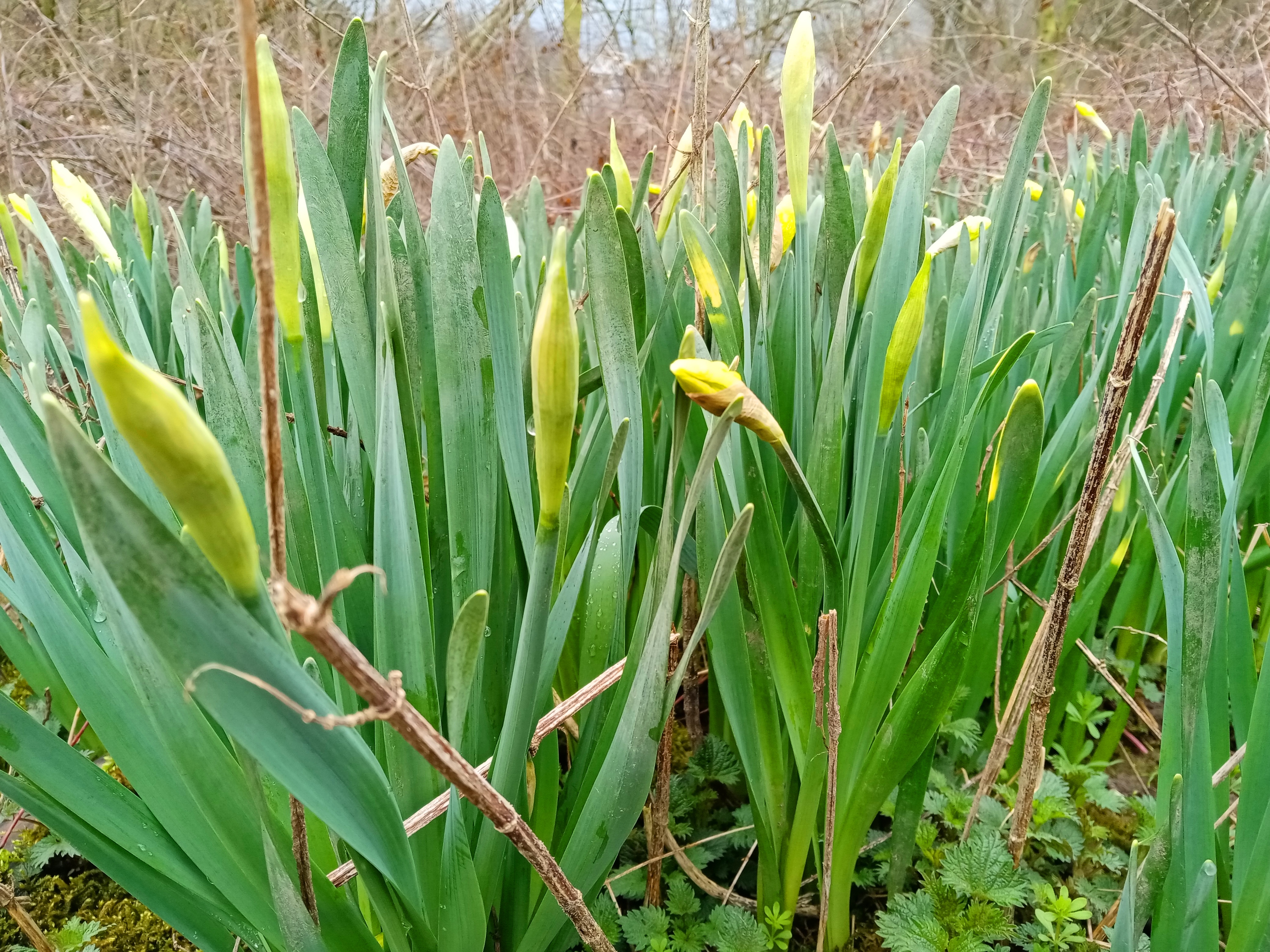 pspan-stylefont-size16pxcolorrgb03296strongWaren-heute-bisschen-span