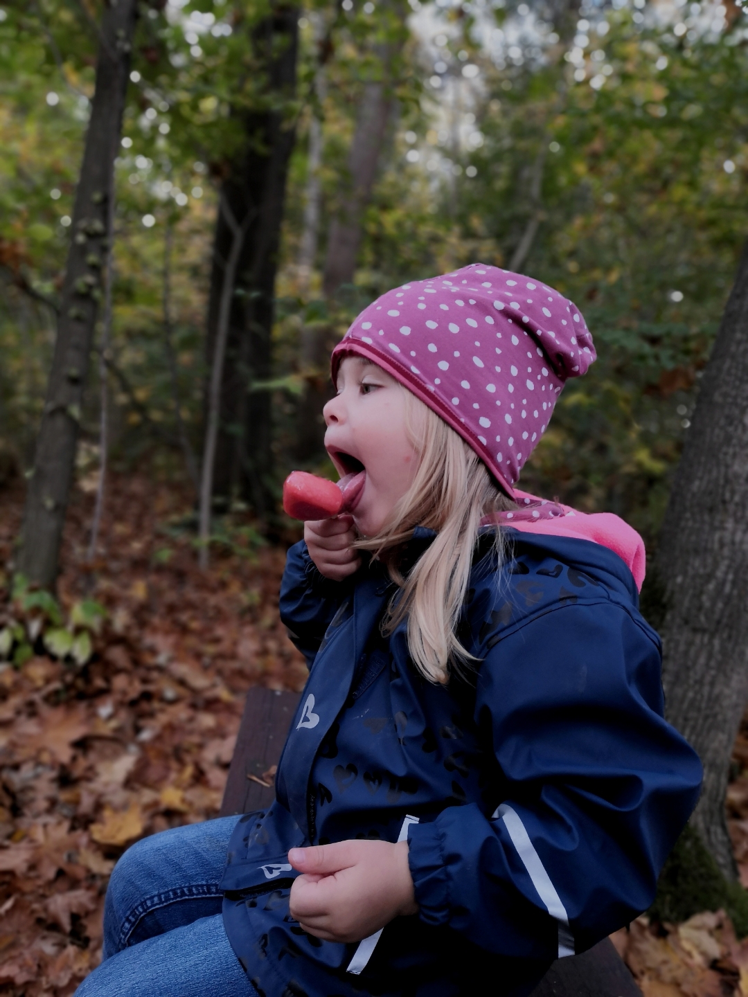 pspanHallo-an-allespanppspanam-Anfang-des-Februar-starteten-wir-die
