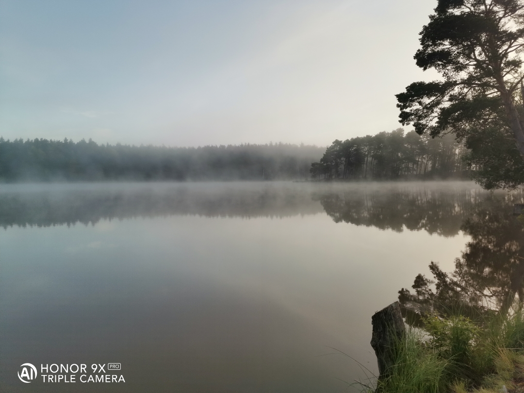 p-styletext-align-centerstrongHallo-Fans-der-guten