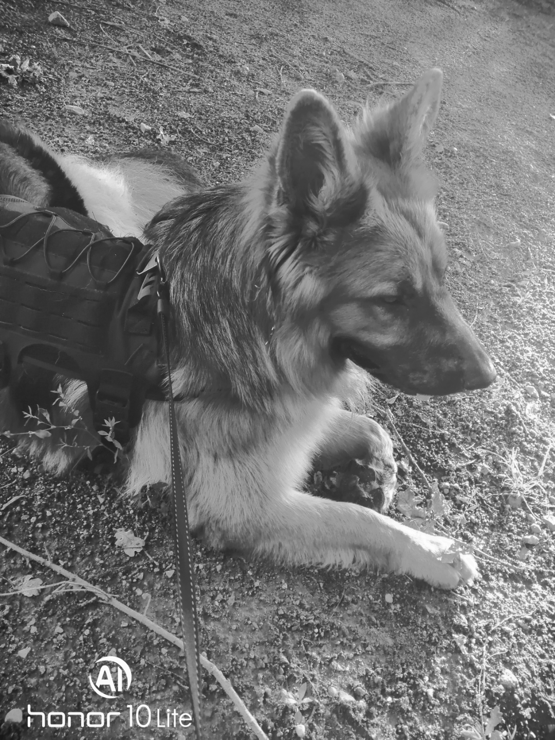 p-styletext-align-centerstrongHallo-Fans-der-guten