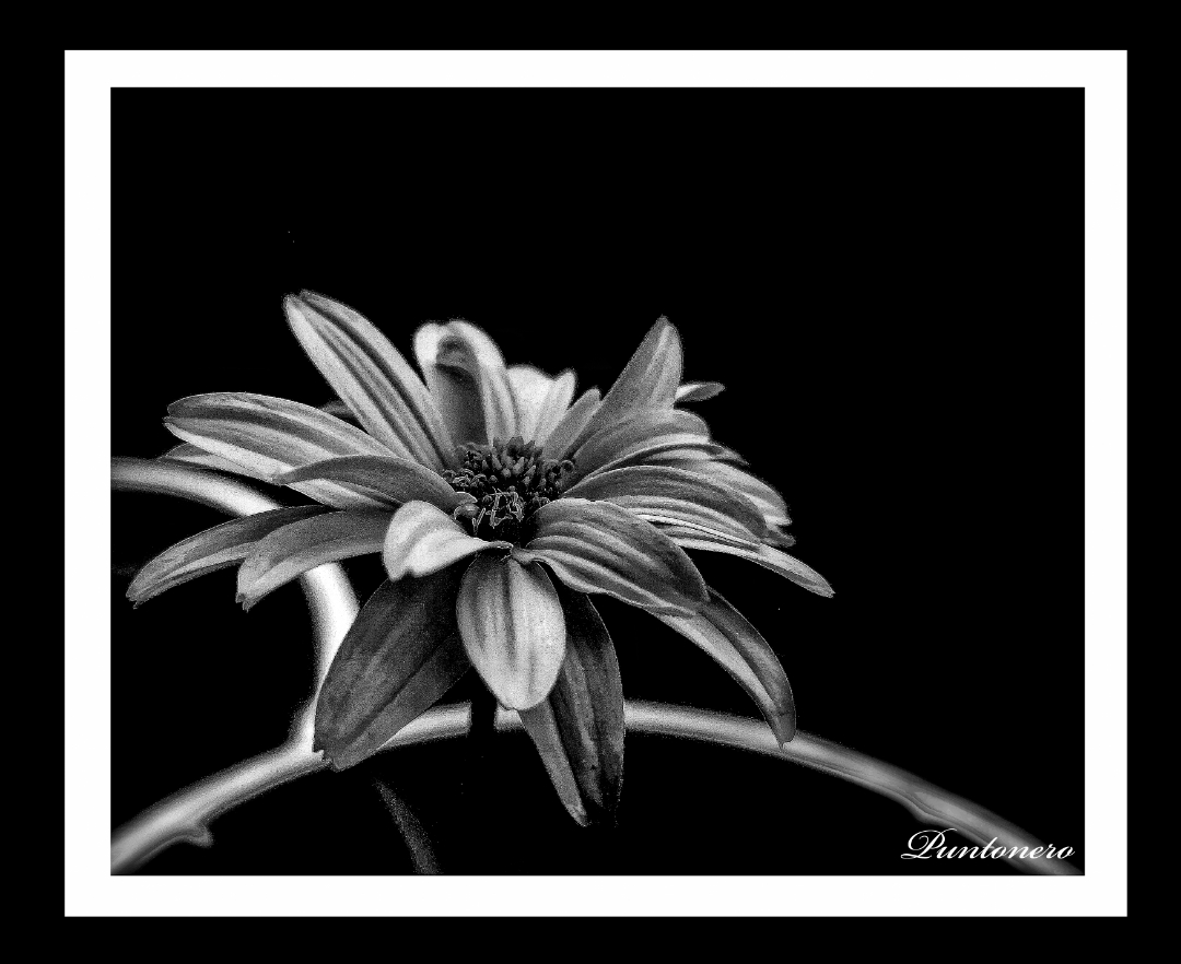 p-styletext-align-centerstrongHallo-Fans-der-guten