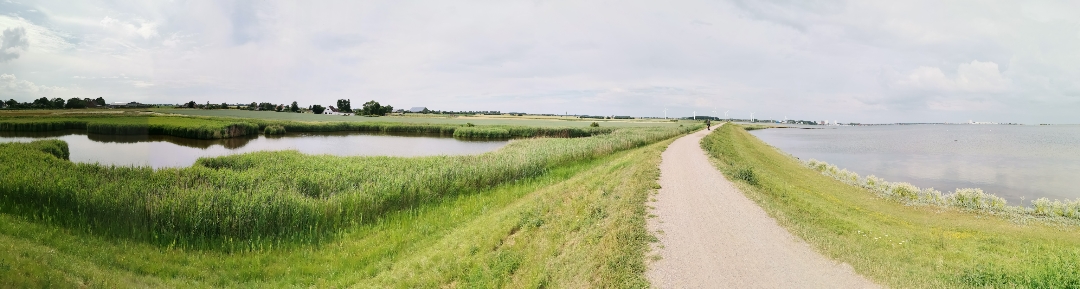 pimg-srchttpsiforum-dechihonorcomdedataimages202176df98ecb5-daef-4f0a