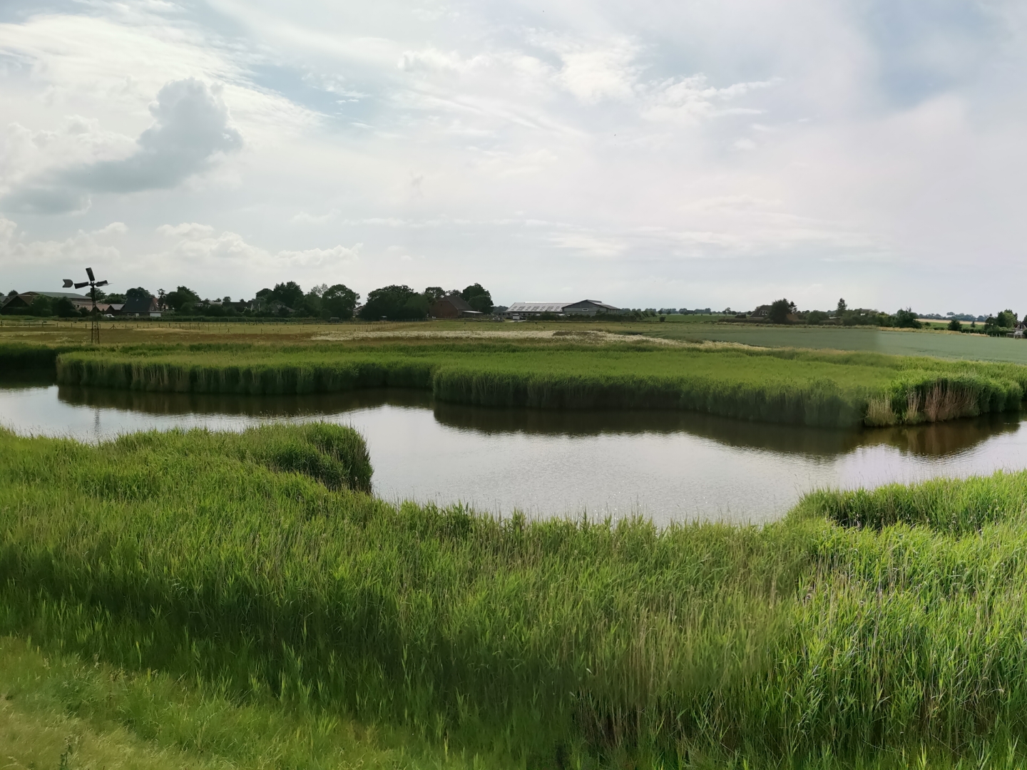 pimg-srchttpsiforum-dechihonorcomdedataimages202176df98ecb5-daef-4f0a