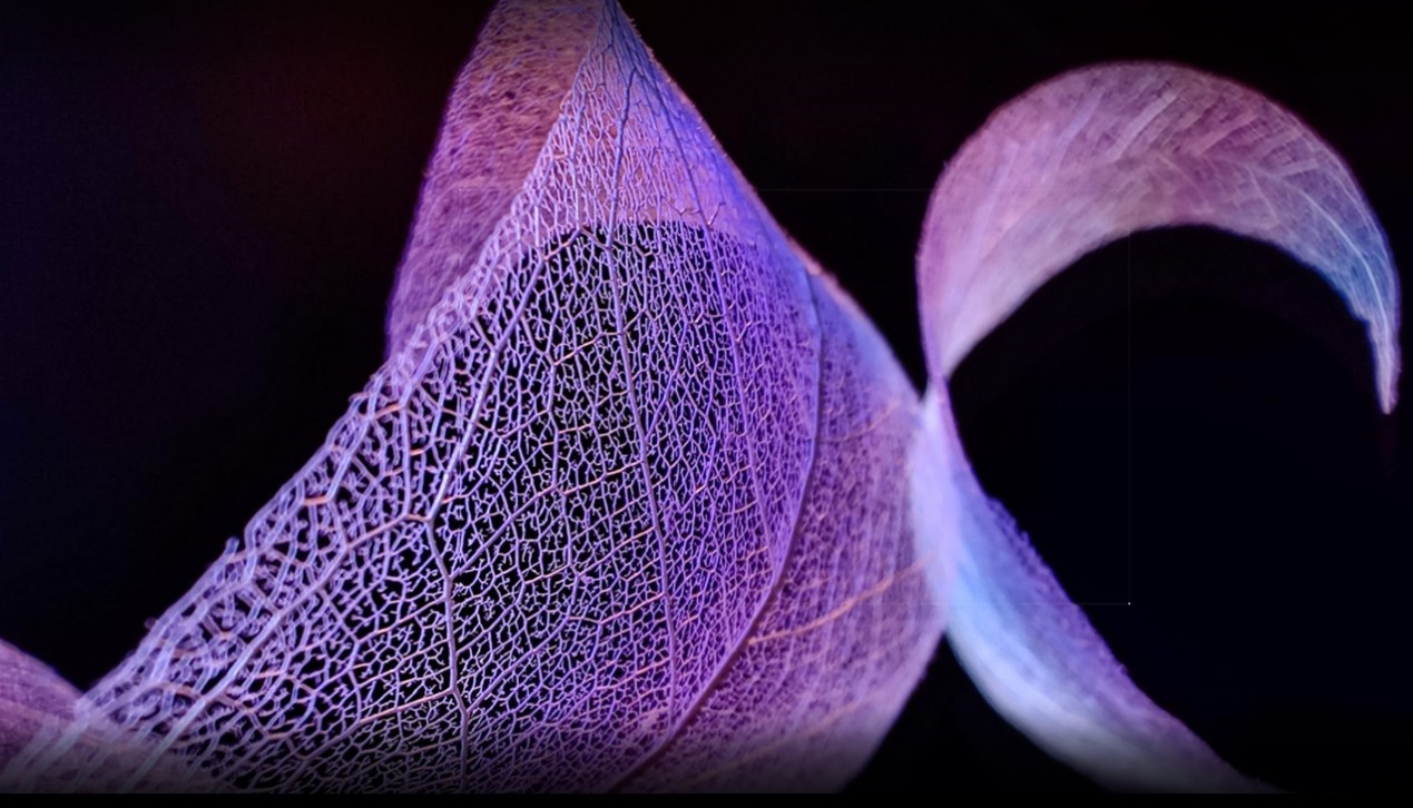 p-styletext-align-centerstrongHi-Communitystrongpp-styletext-align