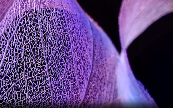 p-styletext-align-centerstrongHi-Communitystrongpp-styletext-align