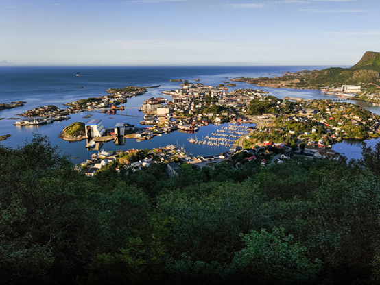 p-styletext-align-centerstrongHi-Communitystrongpp-styletext-align