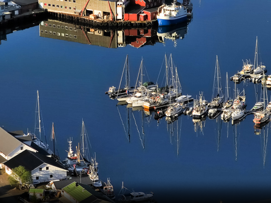 p-styletext-align-centerstrongHi-Communitystrongpp-styletext-align