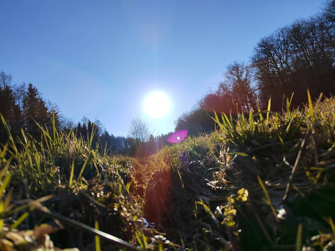 pspan-stylefont-size16pxHallo-liebe-HONOR-Fansnbspspanppspan-stylefont