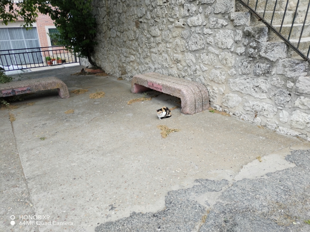 pimg-srchttpsiforum-dechihonorcomesdataimages100002022676f55c481-8ed5