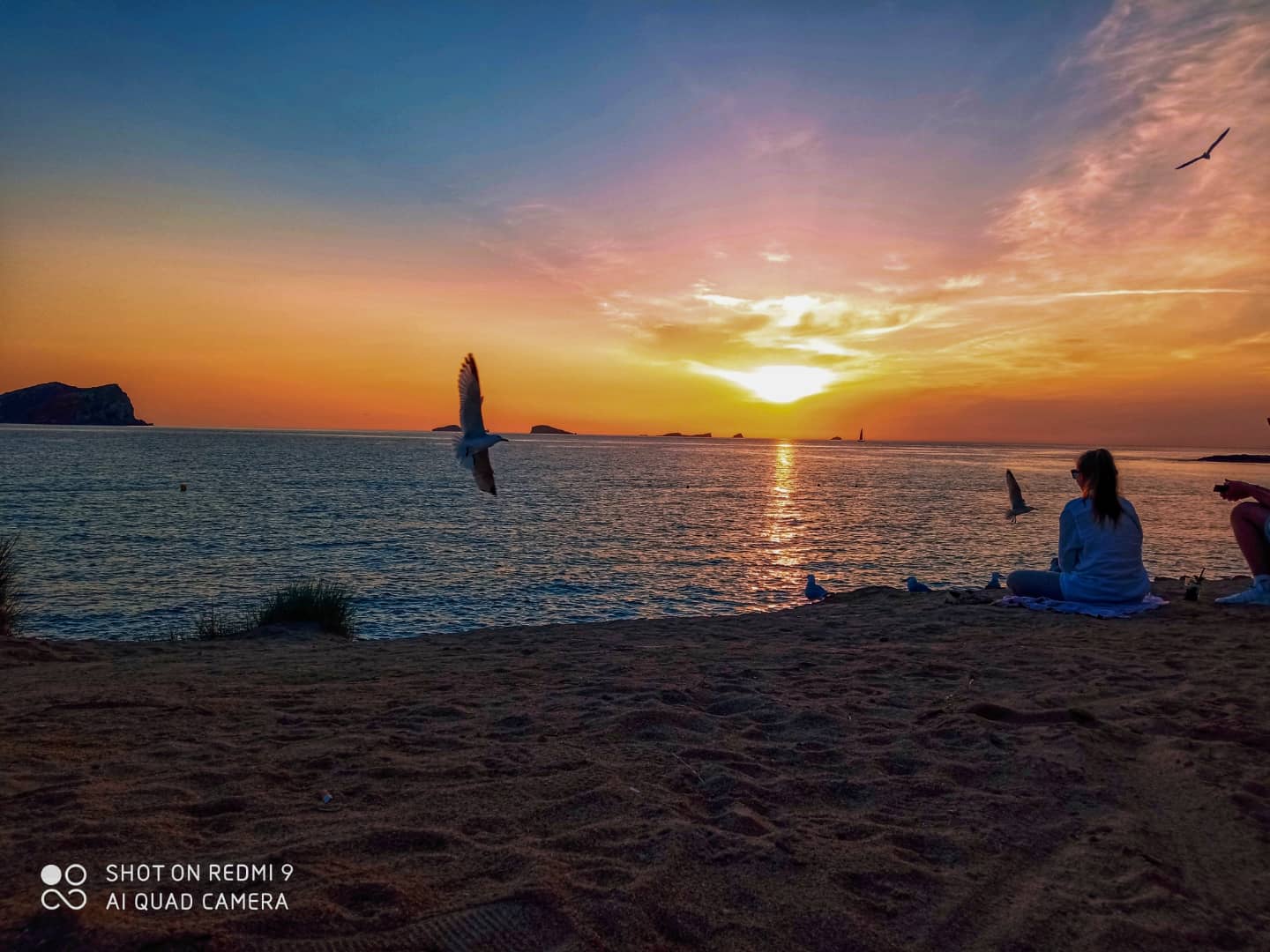 pimg-srchttpsiforum-dechihonorcomesdataimages10000202313049168ec4-0379