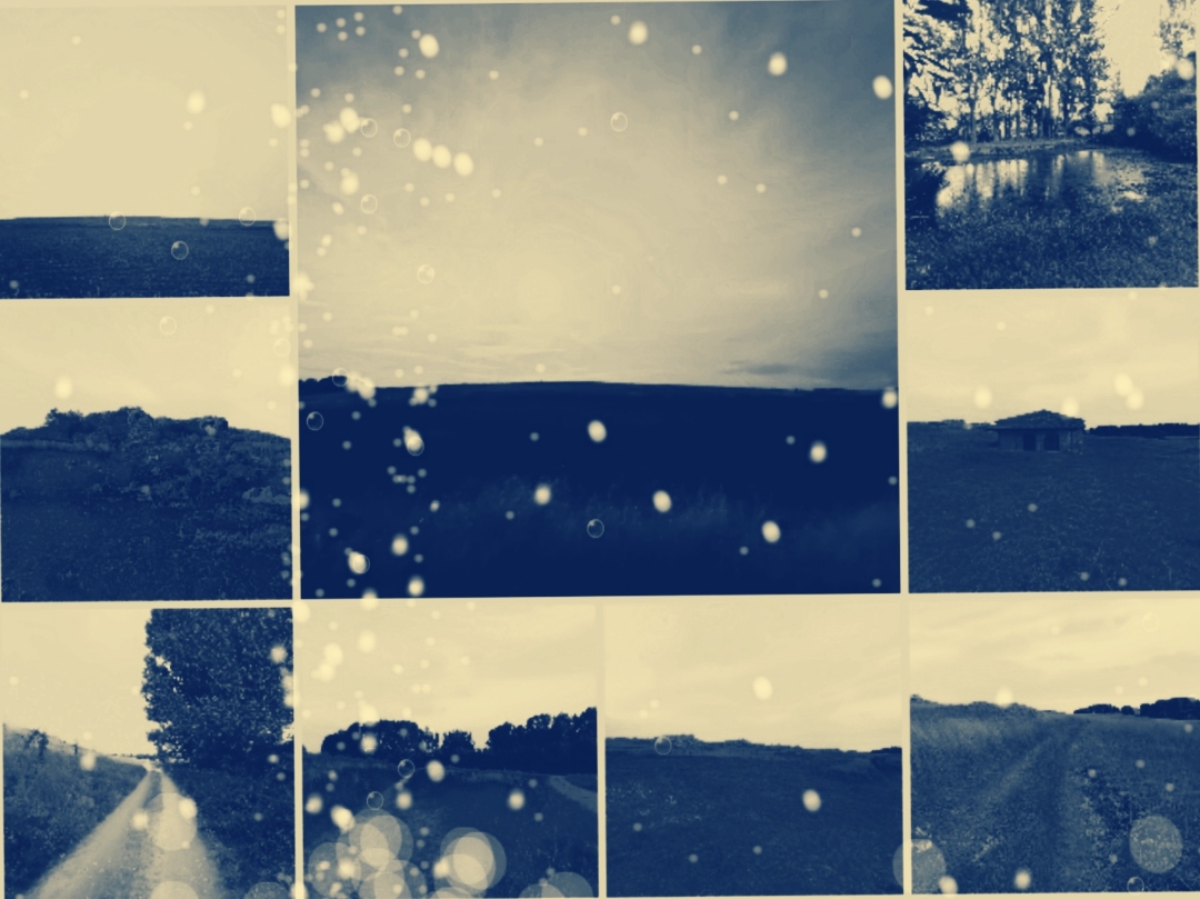 pimg-srchttpsiforum-dechihonorcomesdataimages20201017dbdc12a-78b8-4284