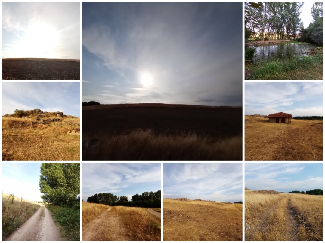 pimg-srchttpsiforum-dechihonorcomesdataimages20201017dbdc12a-78b8-4284