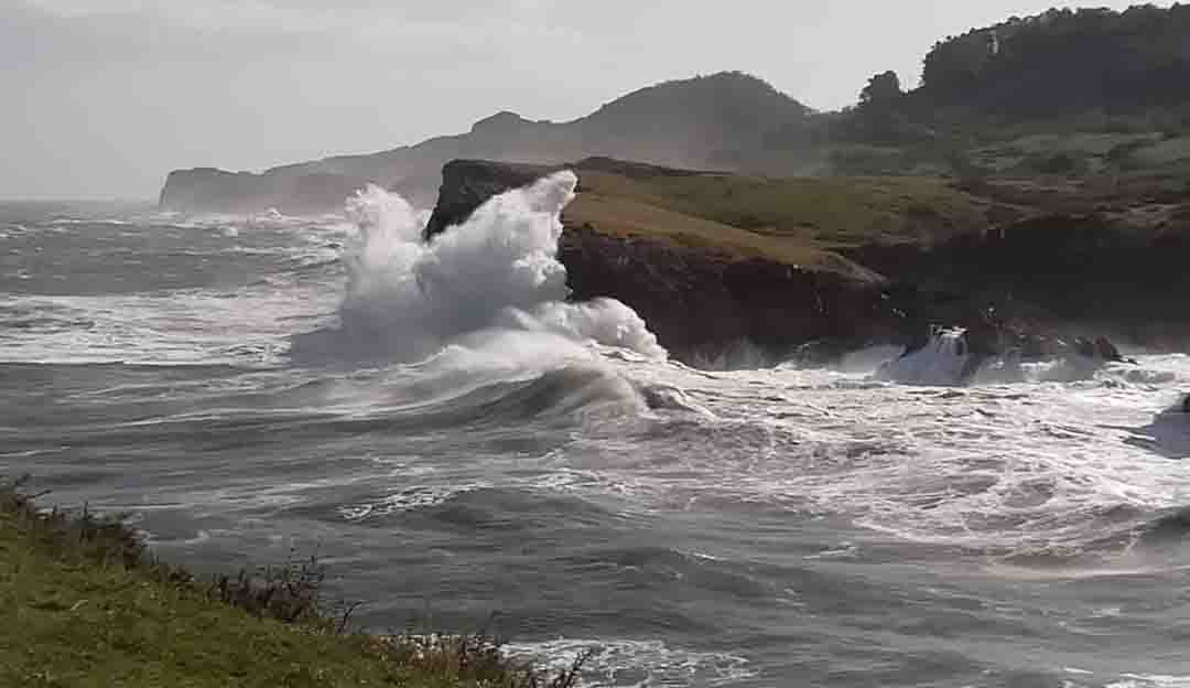 pspanHola-HONOR-Fansspanppspanstrong-stylespan