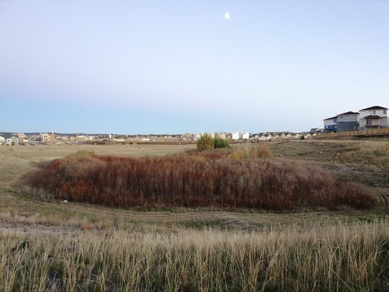 Review-Honor-8X-el-test-definitivo-de-cámara