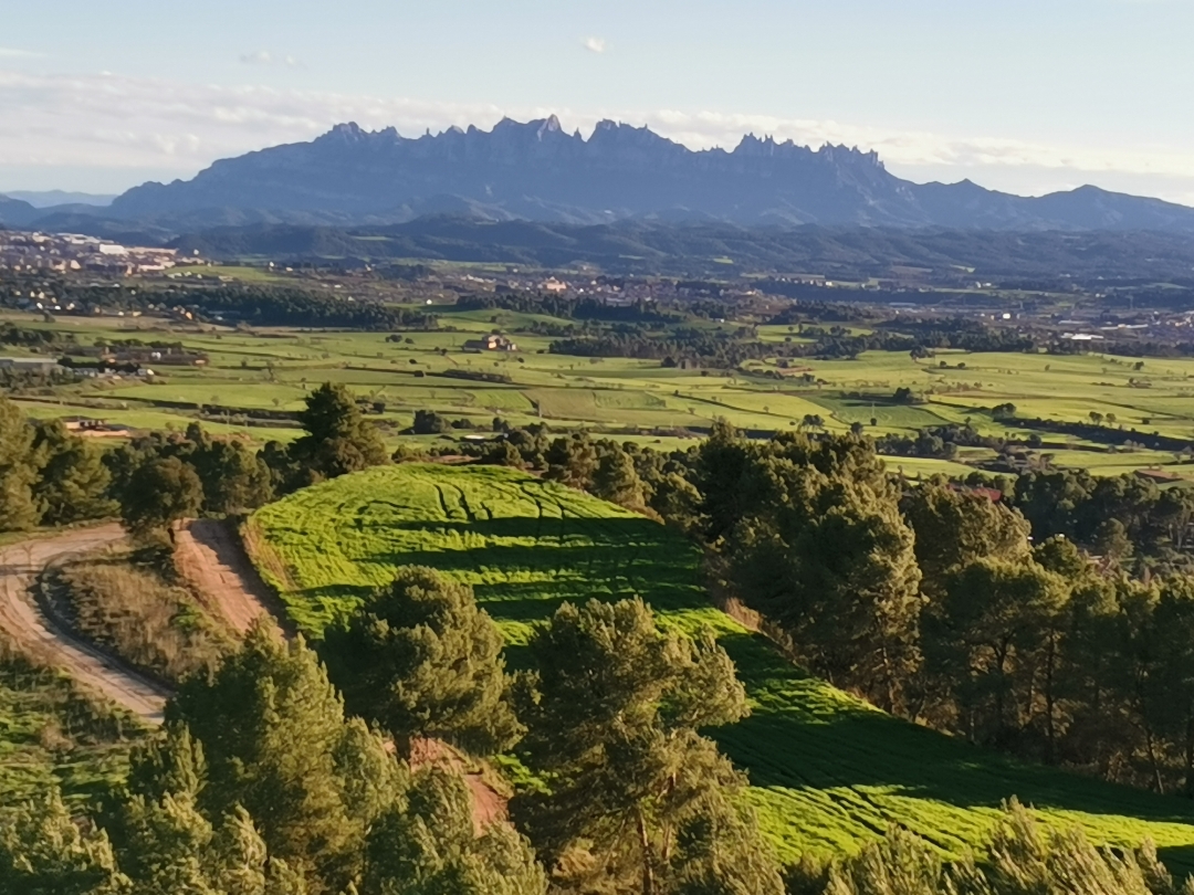 pspanHola-HONOR-Fansspanppspanstrong-stylespan