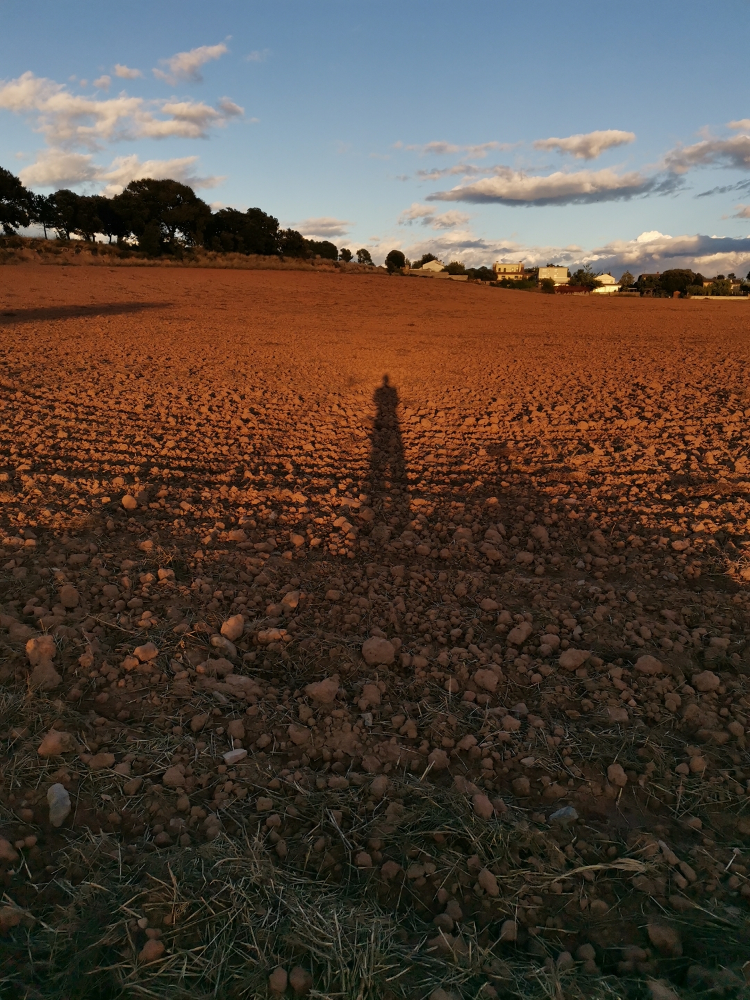 pspanHola-HONOR-Fansspanppspanstrong-stylespan