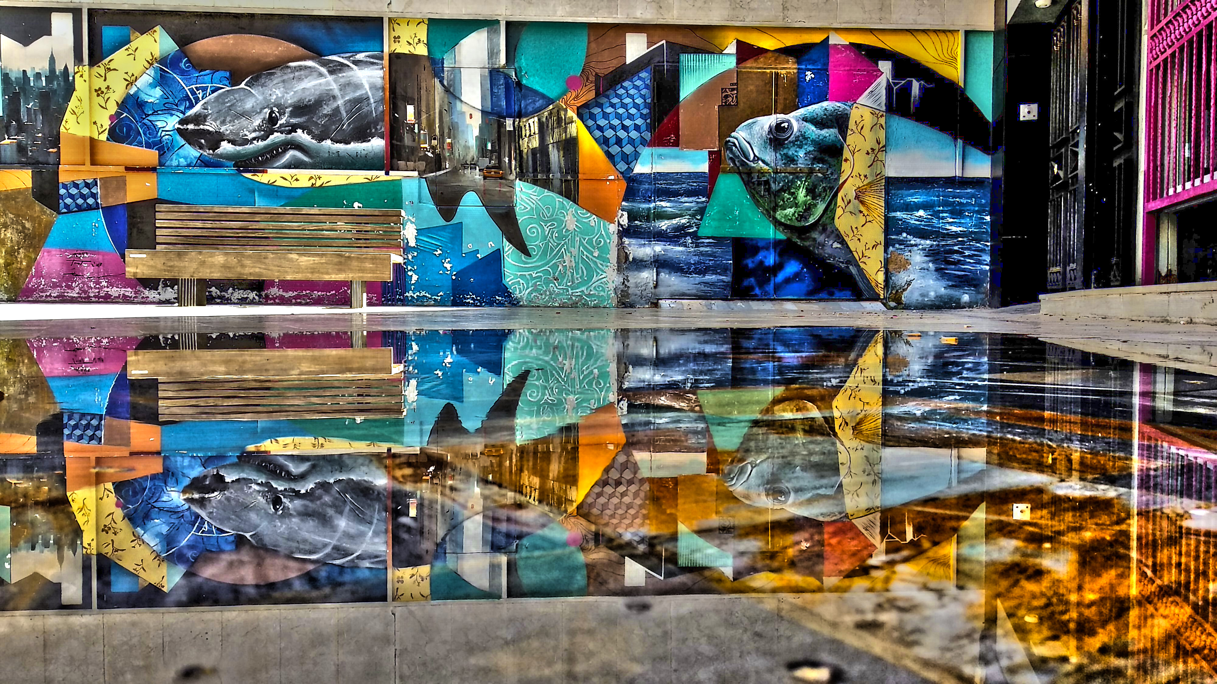 pspanHola-HONOR-Fansspanppspanstrong-stylespan