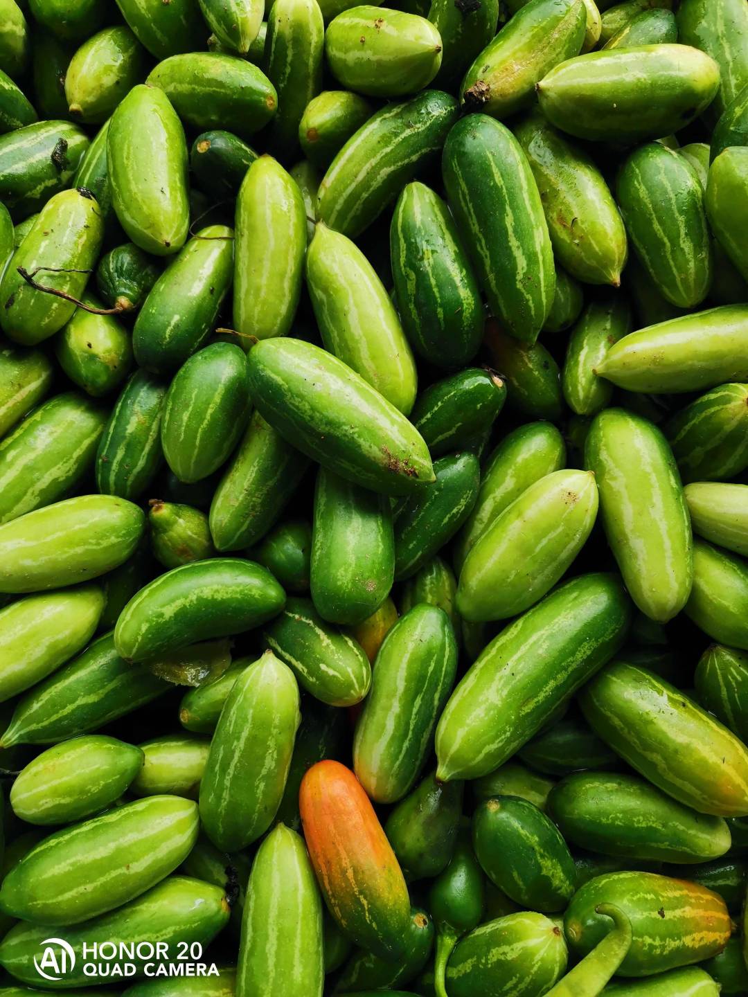 Fotografía-HONOR-20---4-cámaras-4-perspectivas