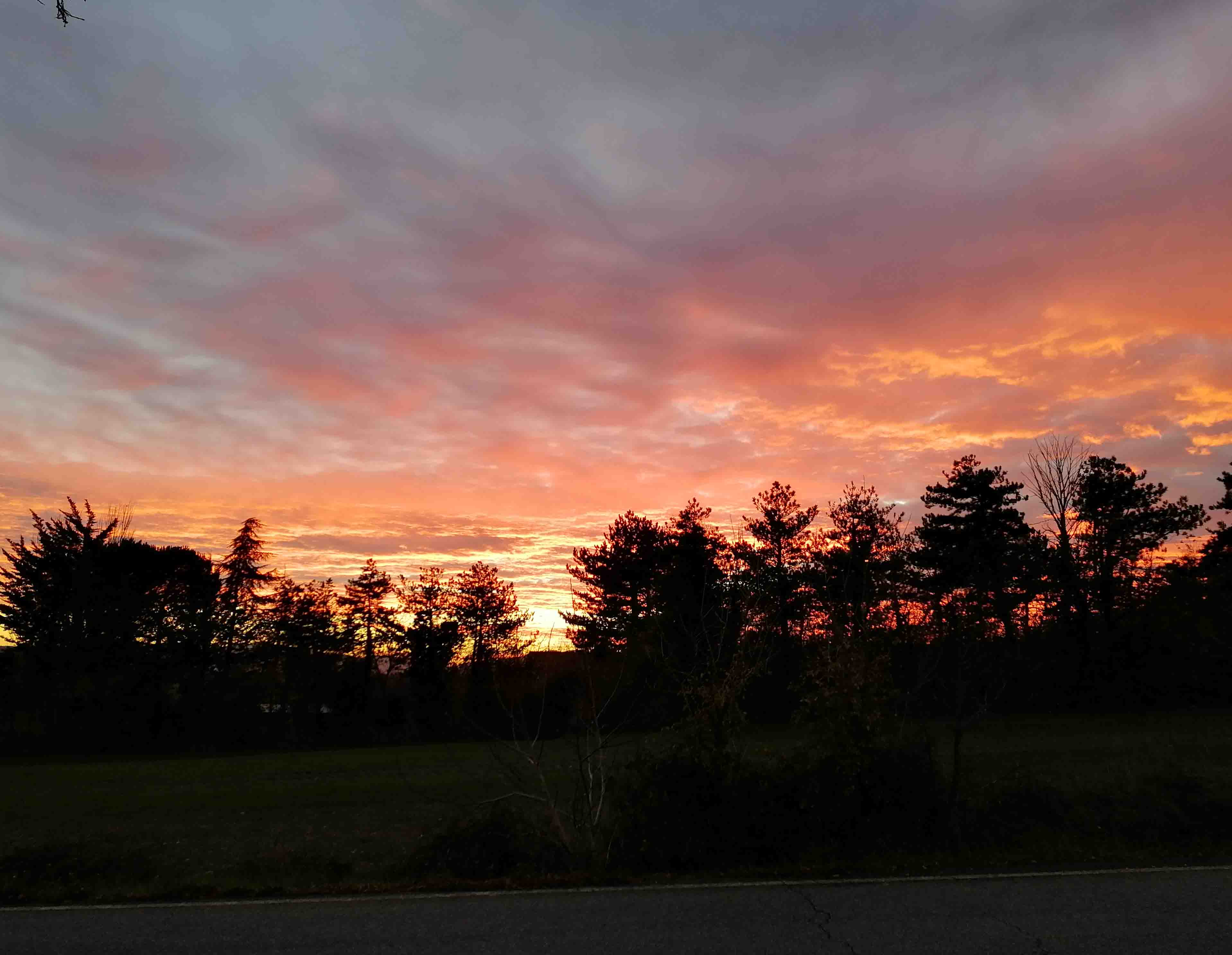 pspanHola-HONOR-Fansspanppspanstrong-stylespan