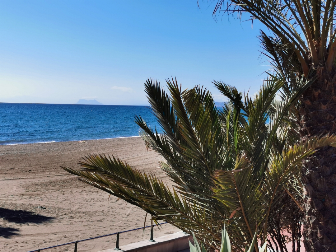 pimg-srchttpsiforum-dechihonorcomesdataimages202010134d0d2817-6f99