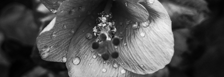 Recomendación-de-app-El-poder-de-la-edición-está-en-tus-manos