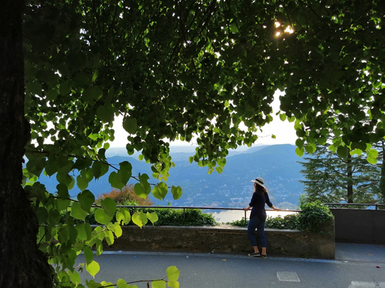 Honor-8X-un-gran-teléfono-por-muy-poco