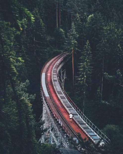 Así-es-el-potencial-de-las-cámaras-de-los-móviles-Honor