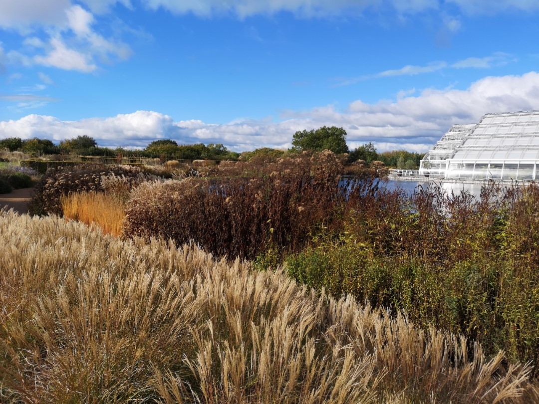 Fotografía-Algunas-fotos-de-Londres-con-el-Huawei-P20-Pro