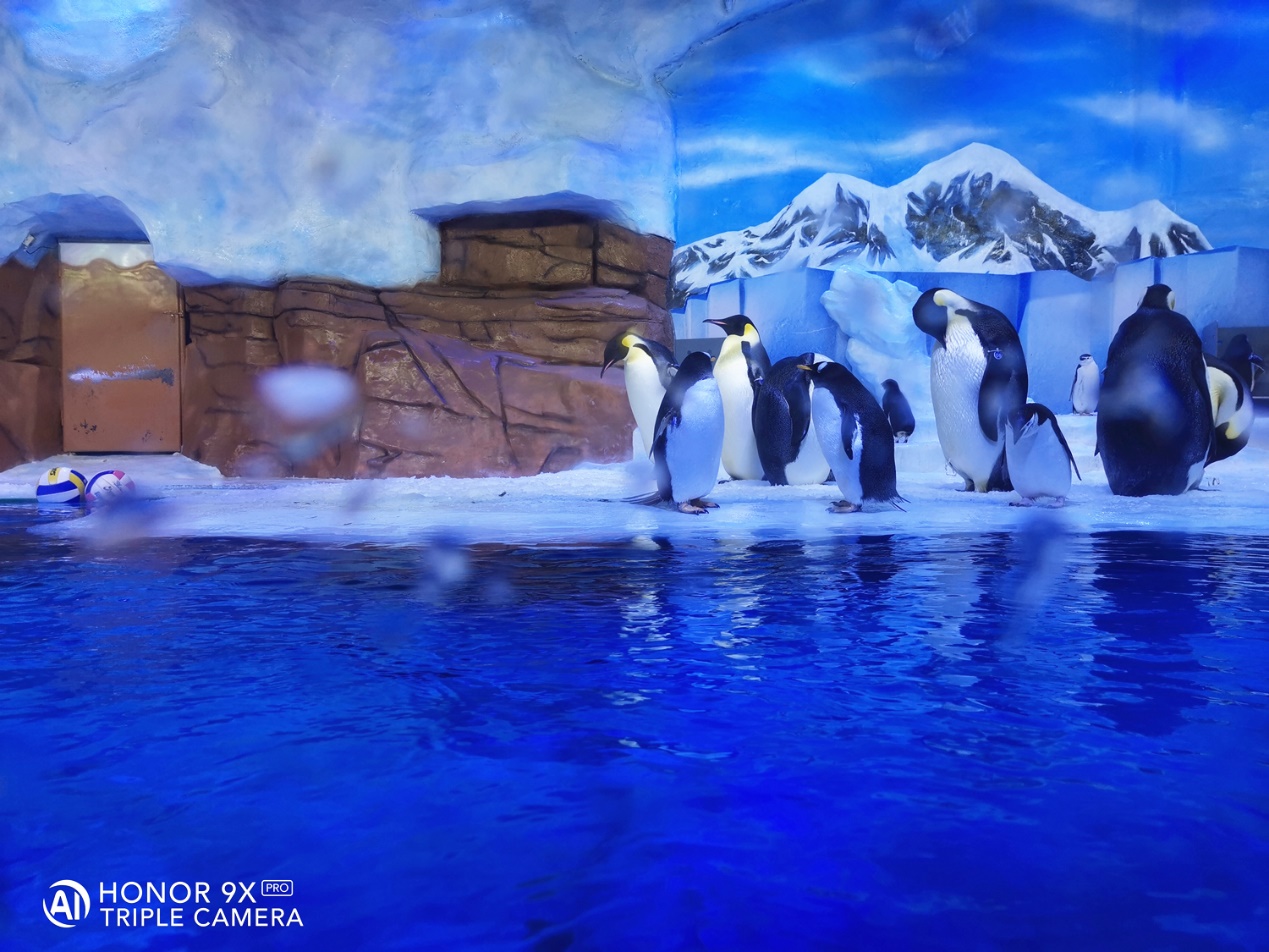 HONOR-9X-Pro-Un-mes-con-mi-HONOR-9X-PRO-