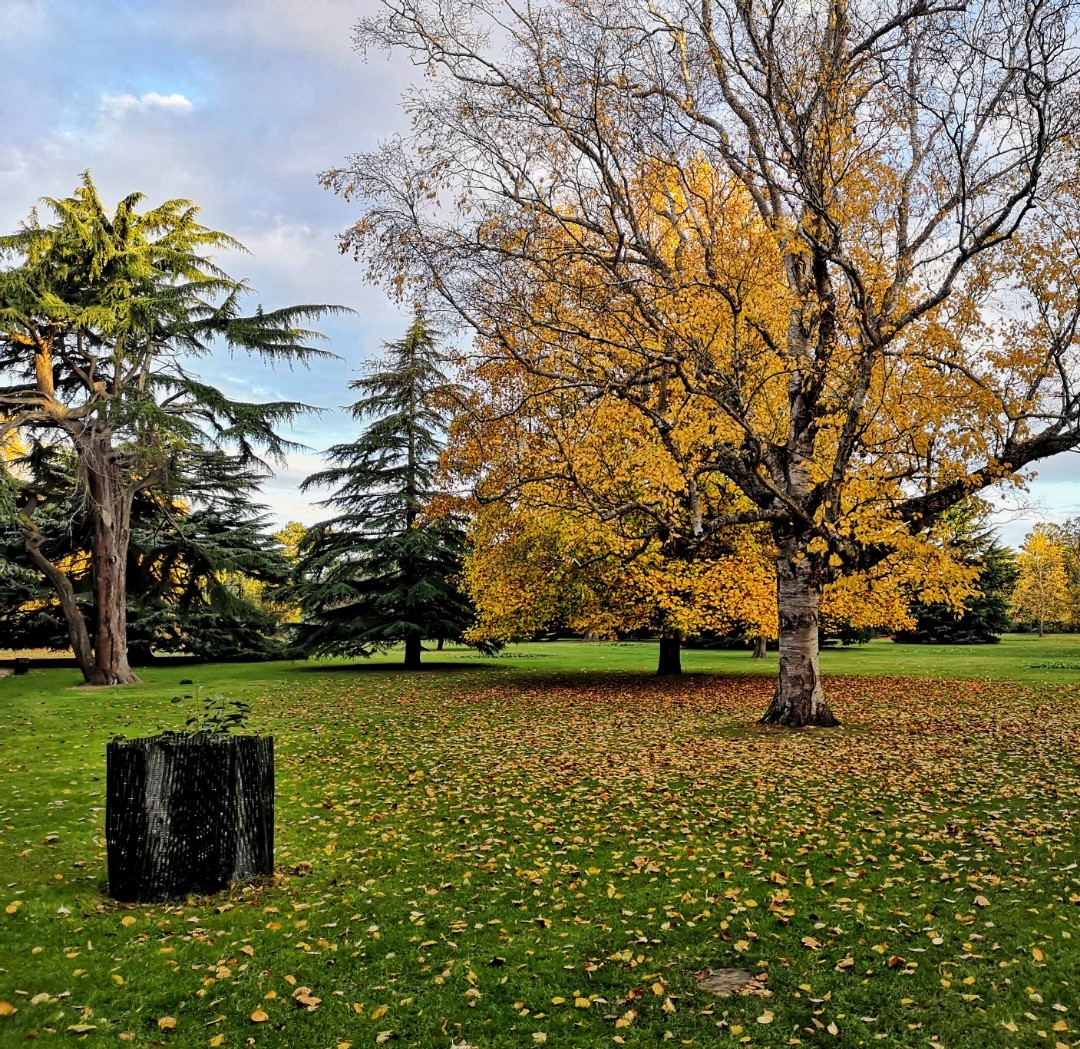 Fotografía-Algunas-fotos-de-Londres-con-el-Huawei-P20-Pro