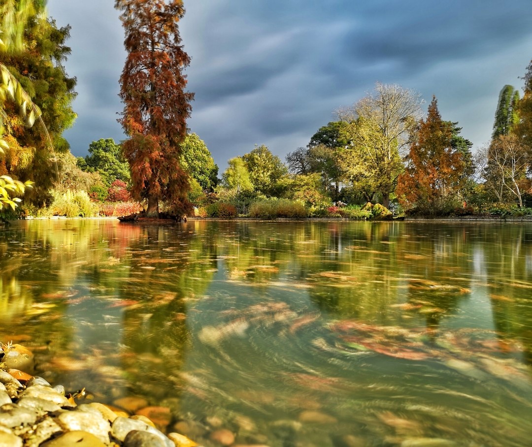 Fotografía-Algunas-fotos-de-Londres-con-el-Huawei-P20-Pro