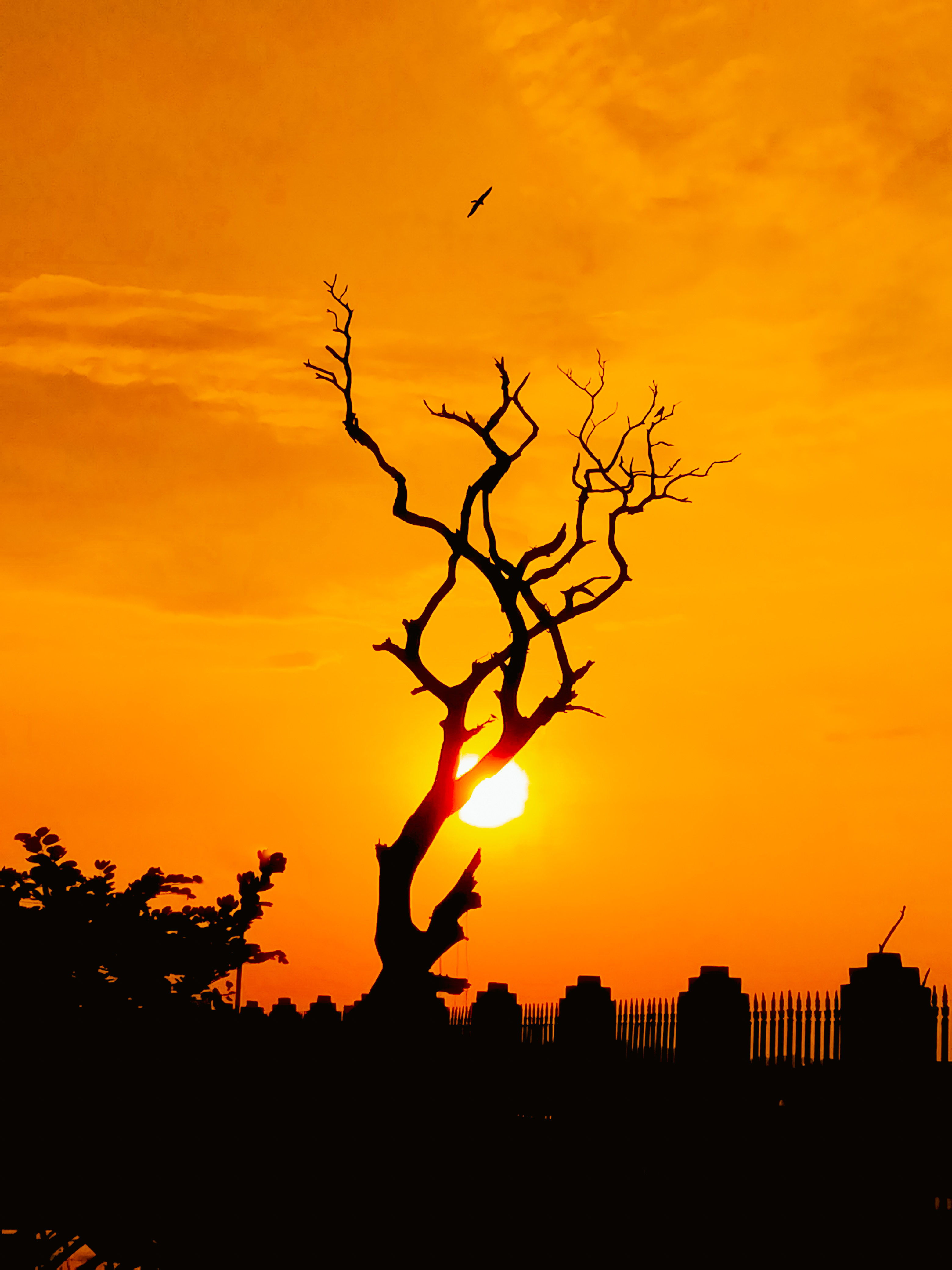 Fotografia-Cómo-capturar-siluetas-cautivadoras