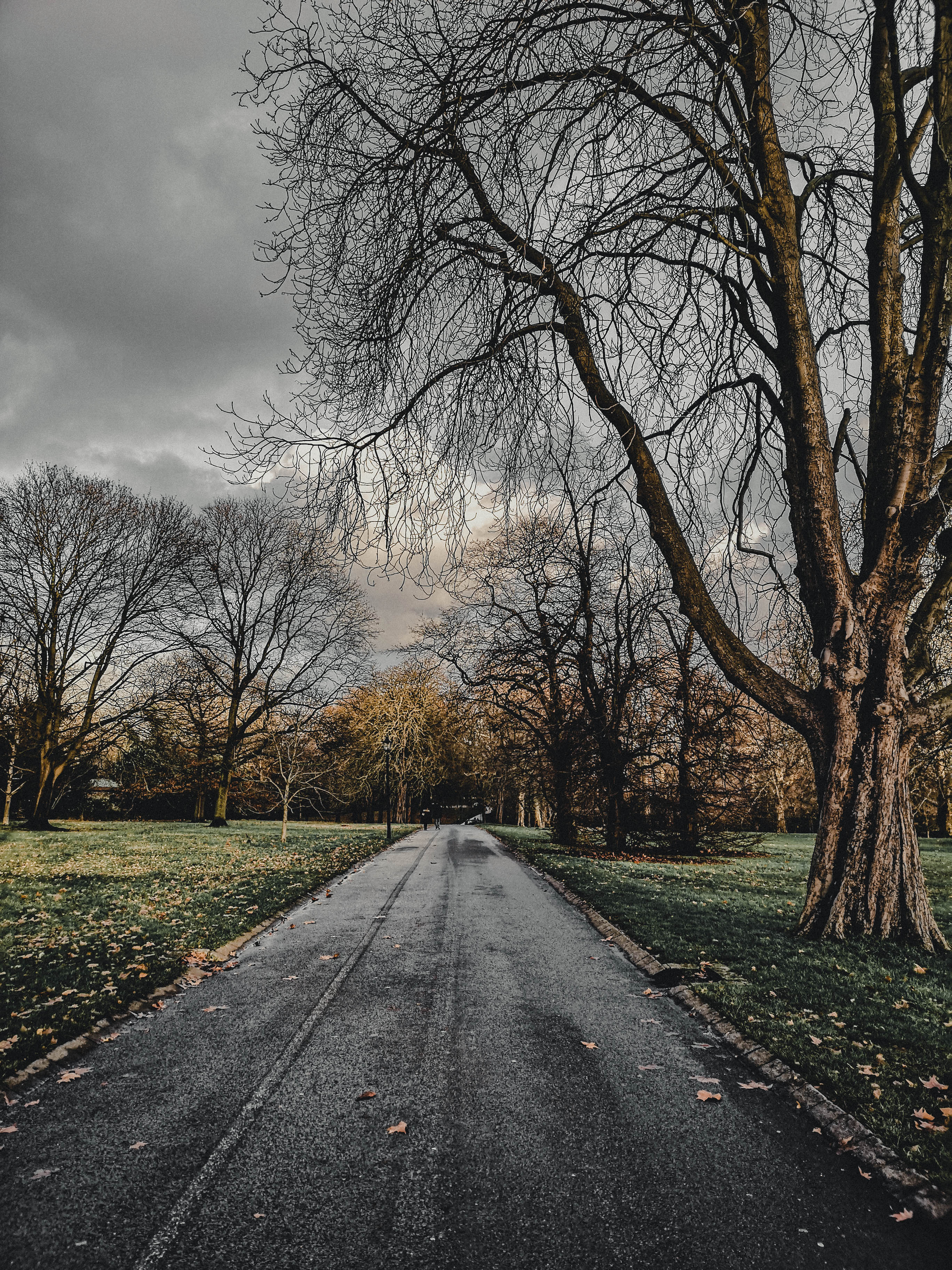 pBuenos-diasppSiguiente-con-mi-disposicion-hoy-os-vengo-a-traer-la