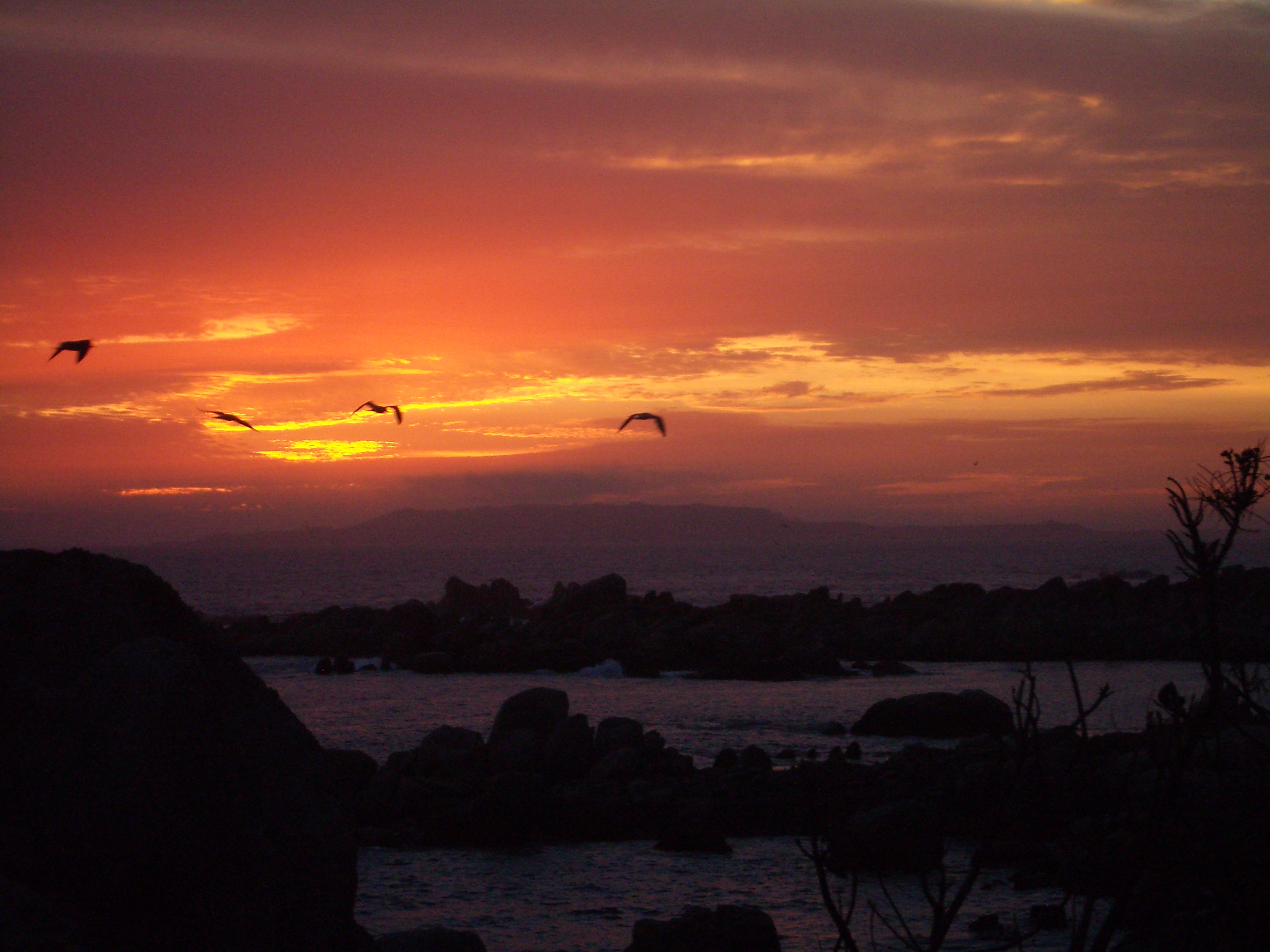 pspan-styleundefinedfont-size16pxfont-size16pxfont-size16pxHola-HONOR