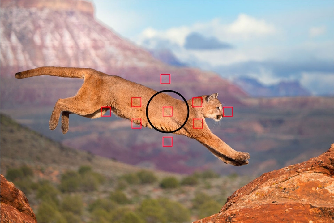 pimg-srchttpsiforum-dechihonorcomesdataimages2020103007b0474b-024a