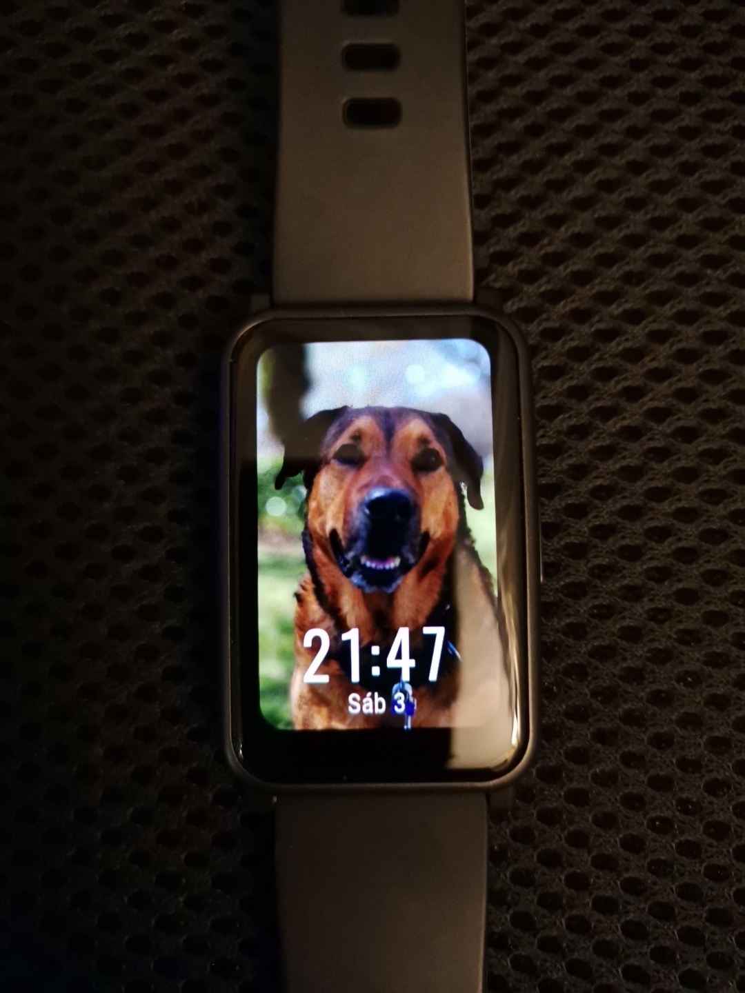 pimg-srchttpsiforum-dechihonorcomesdataimages2020104e2c02411-e063-434b