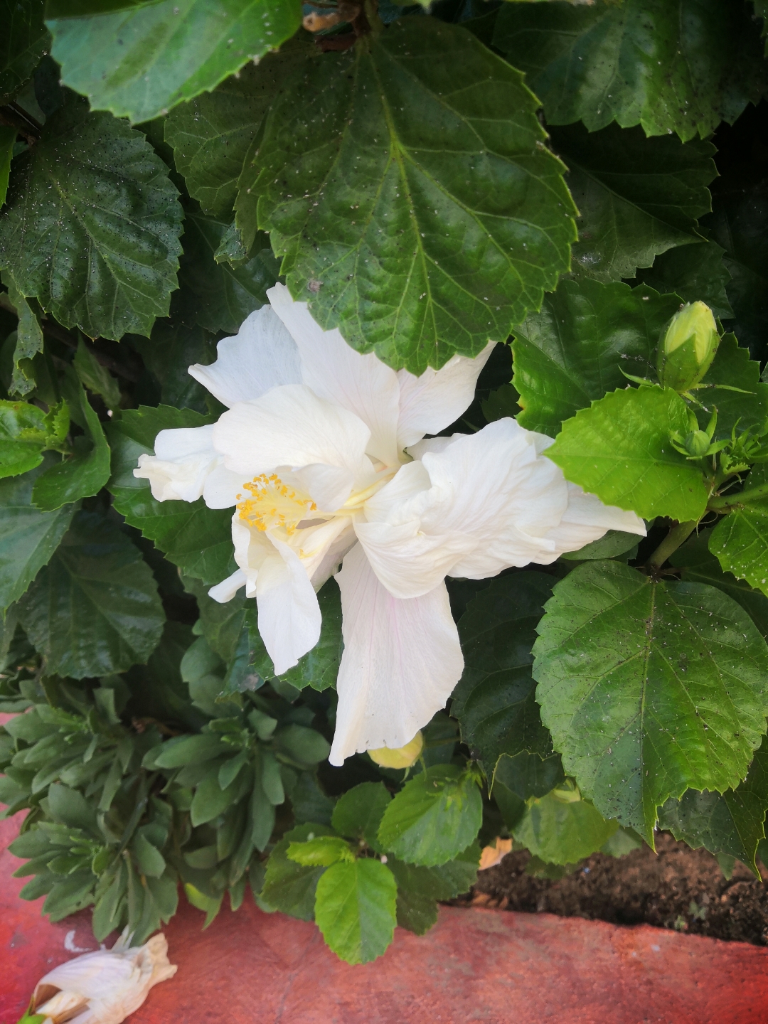 pAunque-el-Otoño-ha-llegado-y-los-días-se-hacen-mas-cortos-y-se