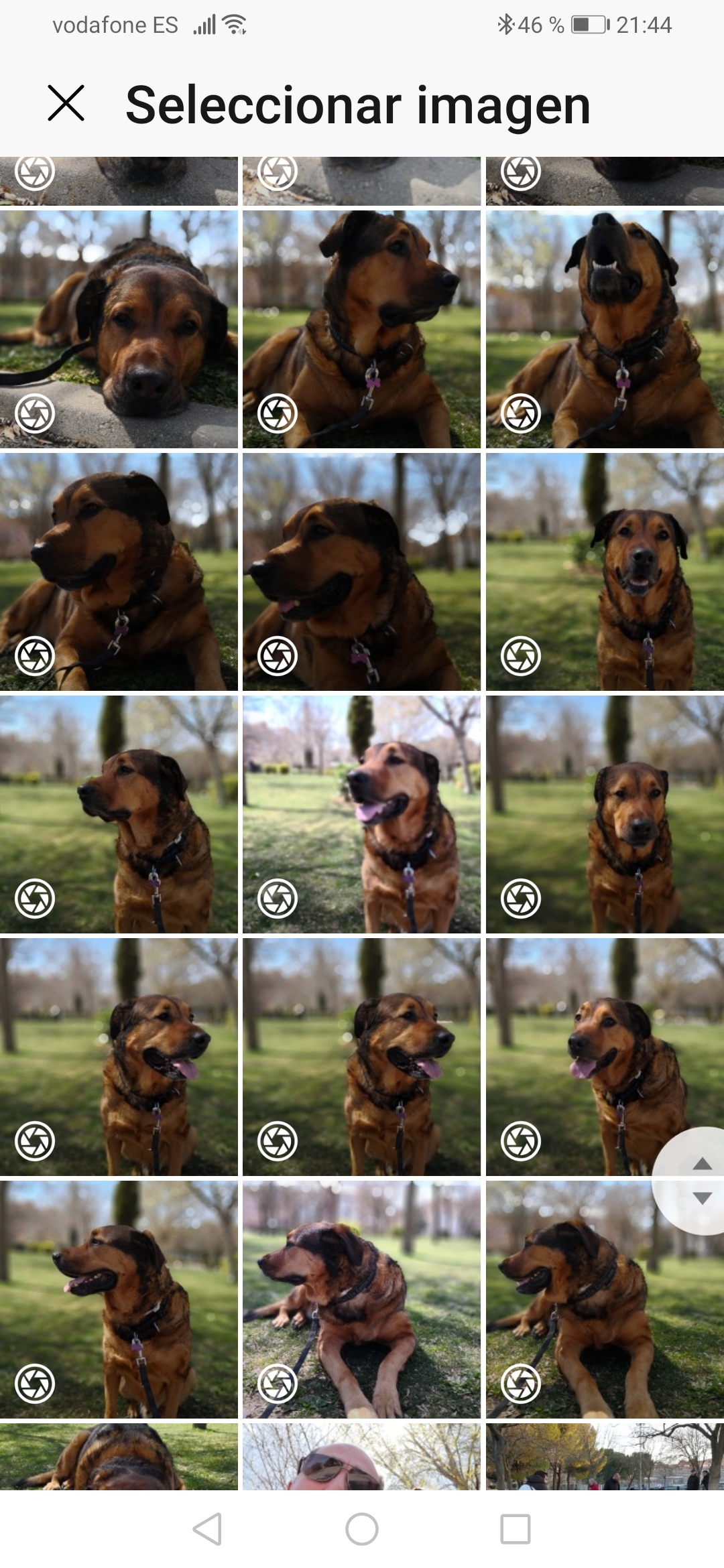 pimg-srchttpsiforum-dechihonorcomesdataimages2020104e2c02411-e063-434b