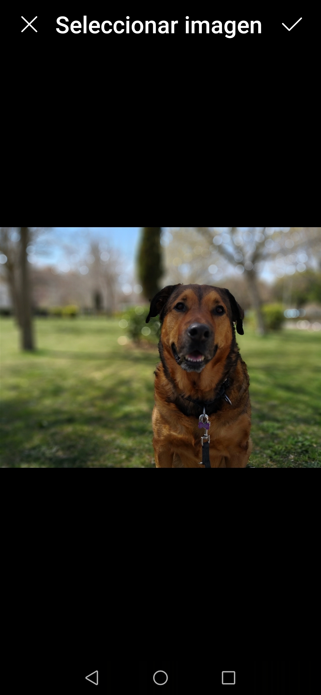 pimg-srchttpsiforum-dechihonorcomesdataimages2020104e2c02411-e063-434b