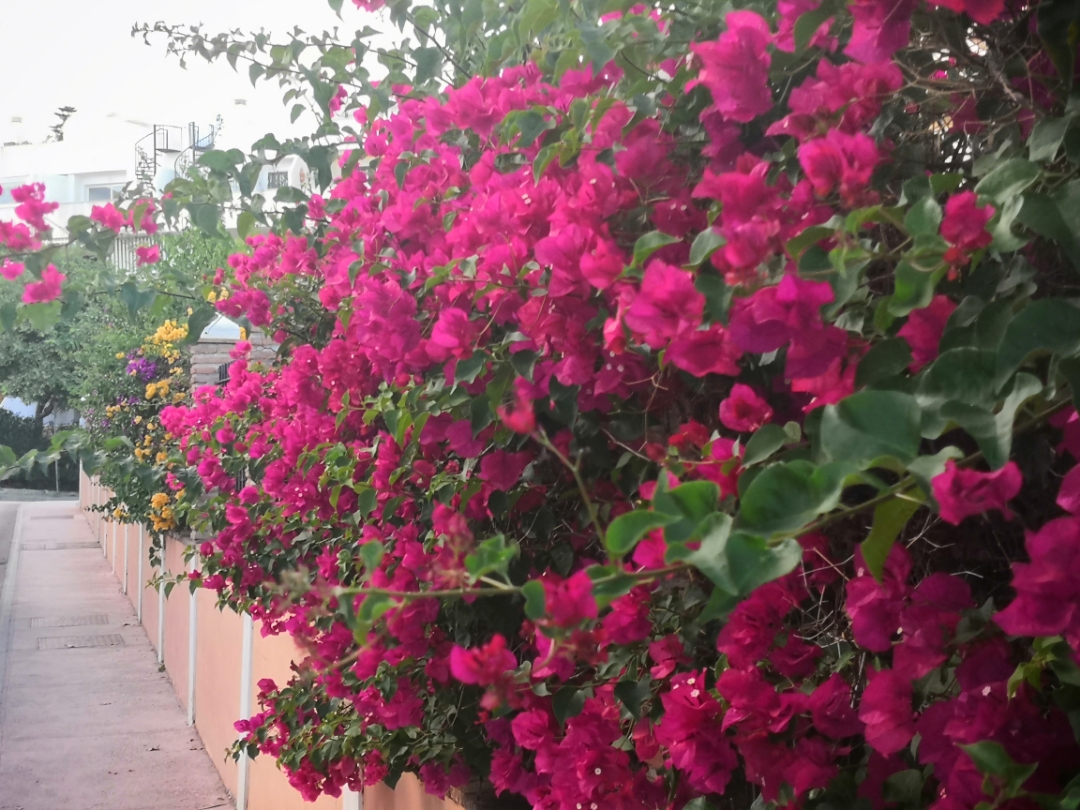 pAunque-el-Otoño-ha-llegado-y-los-días-se-hacen-mas-cortos-y-se