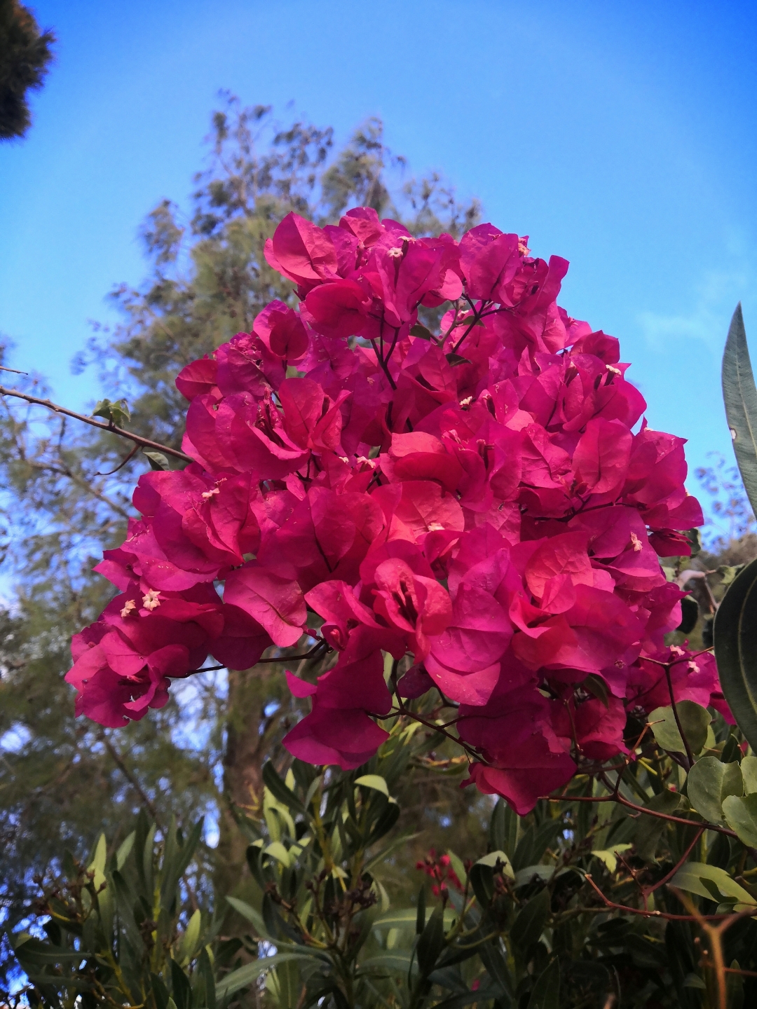 pAunque-el-Otoño-ha-llegado-y-los-días-se-hacen-mas-cortos-y-se
