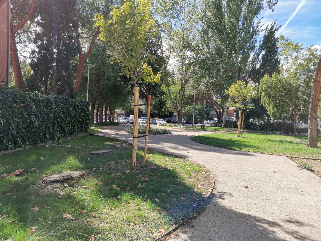 pspanBuenas-tardes-hoy-he-salido-un-rato-por-la-mañana-a-dar-un-paseo